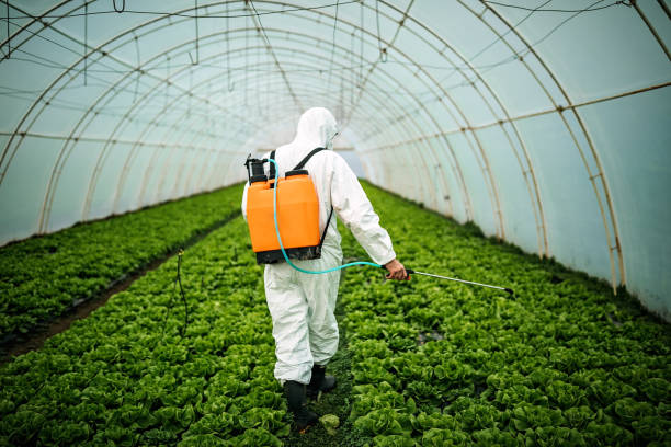 Best Affordable Pest Control Services  in Topeka, IN