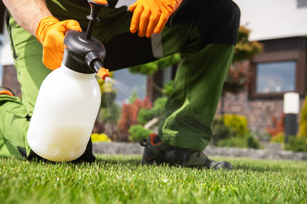Best Termite Control Services  in Topeka, IN