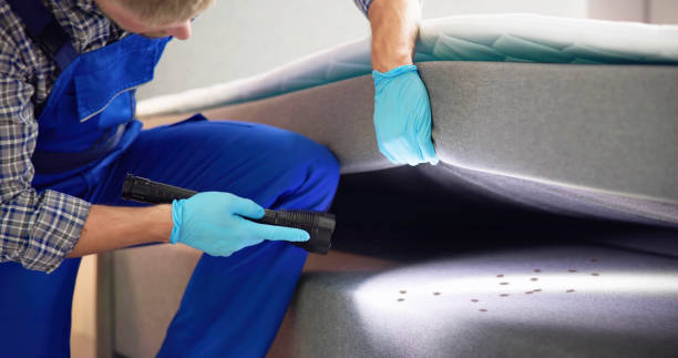 Best Mosquito Control Services  in Topeka, IN